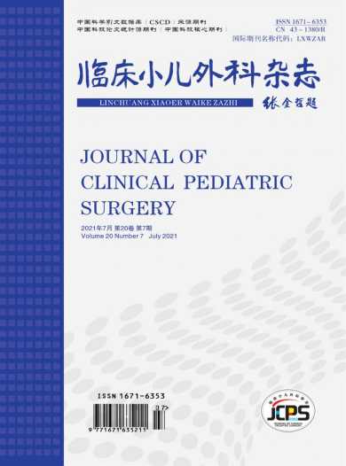 临床小儿外科杂志封面