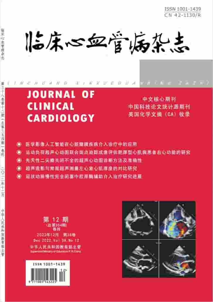 临床心血管病杂志封面