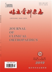 临床骨科杂志封面