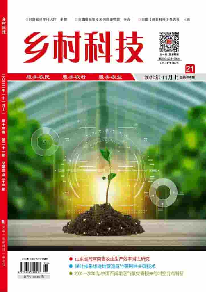 乡村科技杂志封面