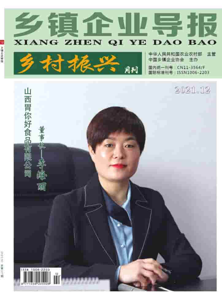 乡镇企业导报杂志封面