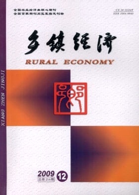 乡镇经济杂志封面