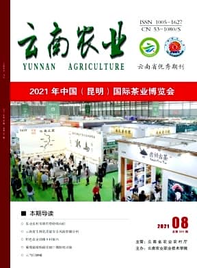 云南农业杂志封面