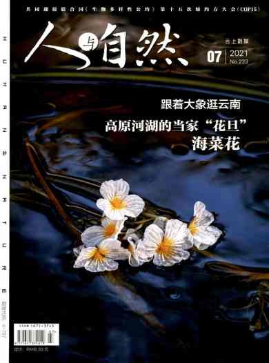 人与自然杂志封面
