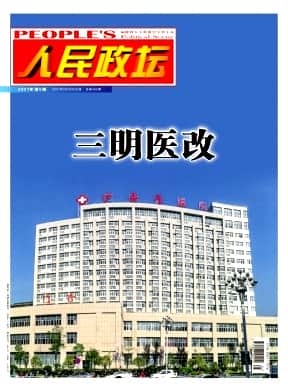 人民政坛杂志封面
