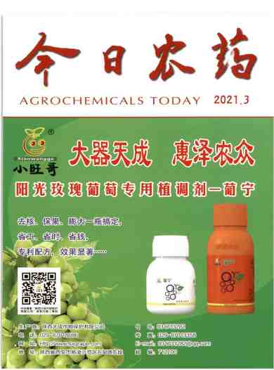 今日农药杂志封面