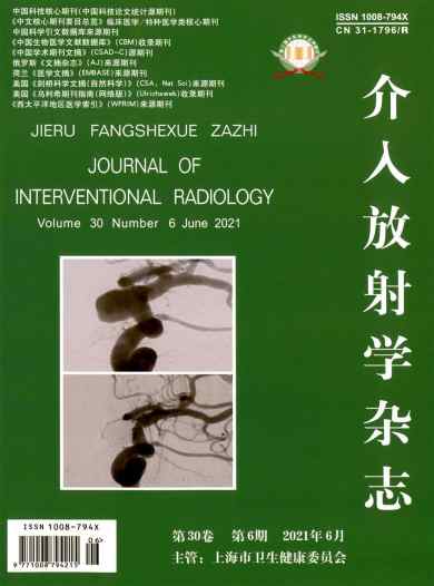 介入放射学杂志封面