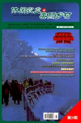 休闲农业与美丽乡村杂志封面