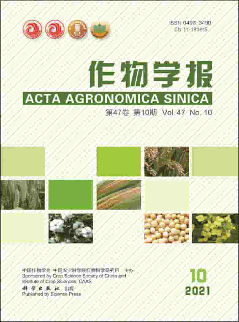 作物学报杂志封面