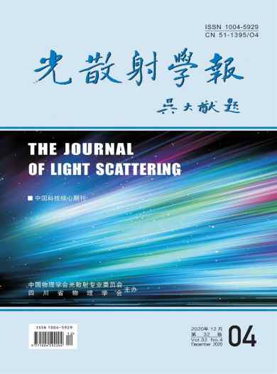 光散射学报杂志封面