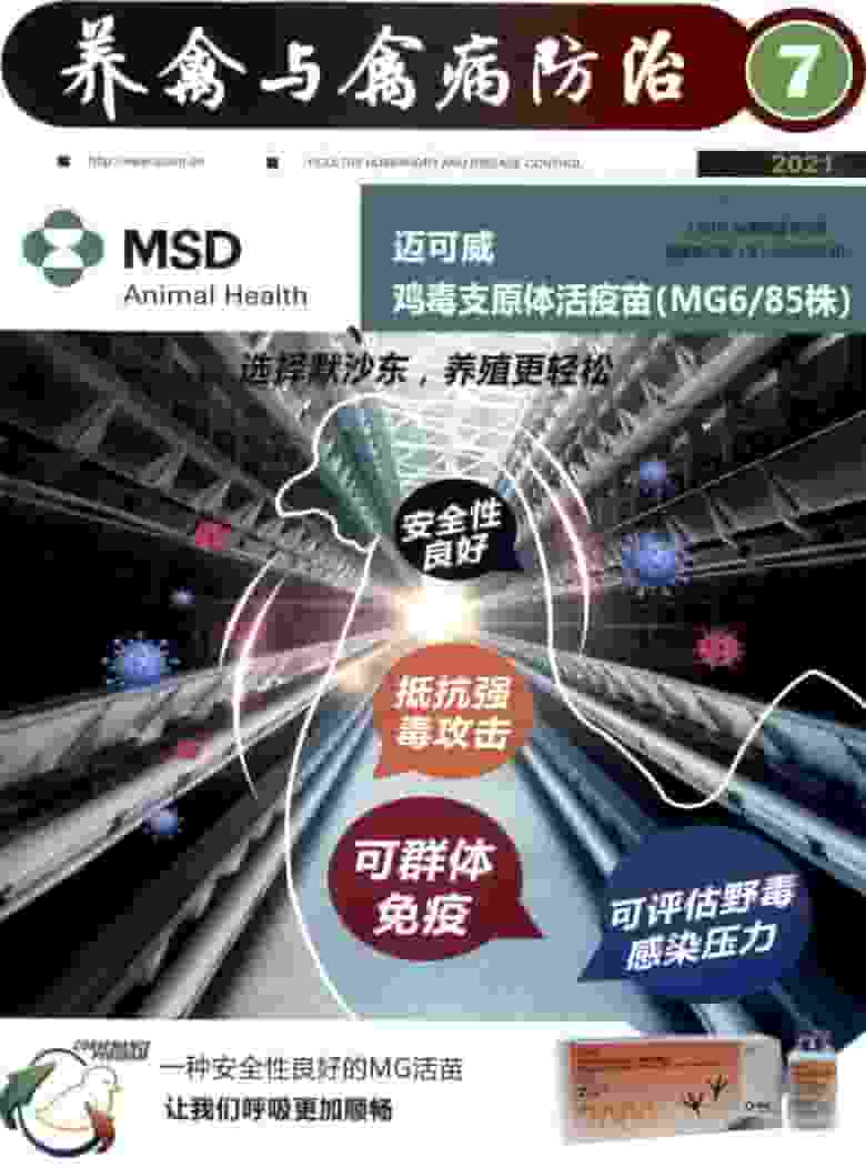 养禽与禽病防治杂志封面