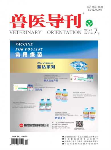 兽医导刊杂志封面