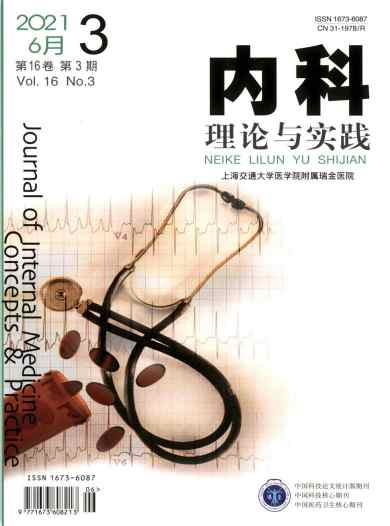 内科理论与实践杂志封面