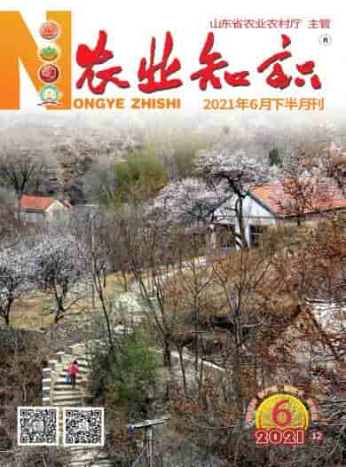 农业知识杂志封面
