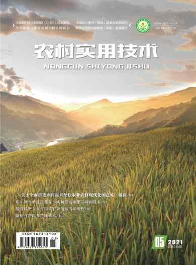 农村实用技术杂志封面