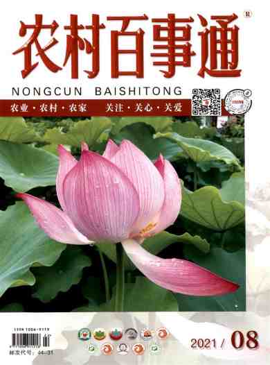 农村百事通杂志封面
