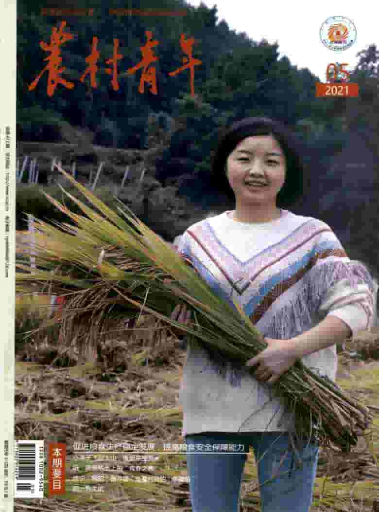 农村青年杂志封面