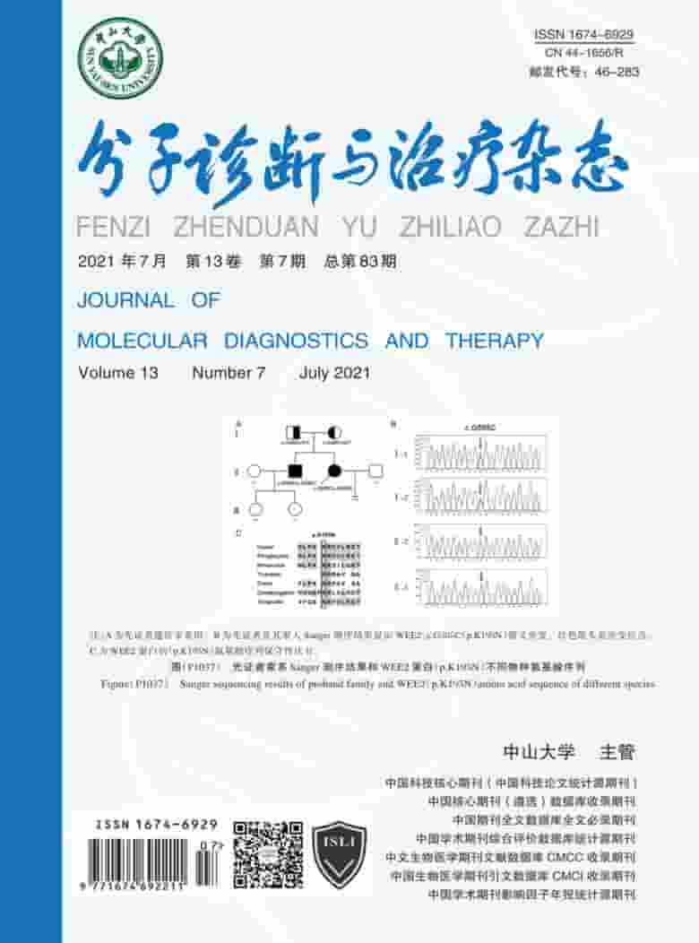 分子诊断与治疗杂志封面