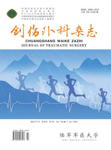 创伤外科杂志封面