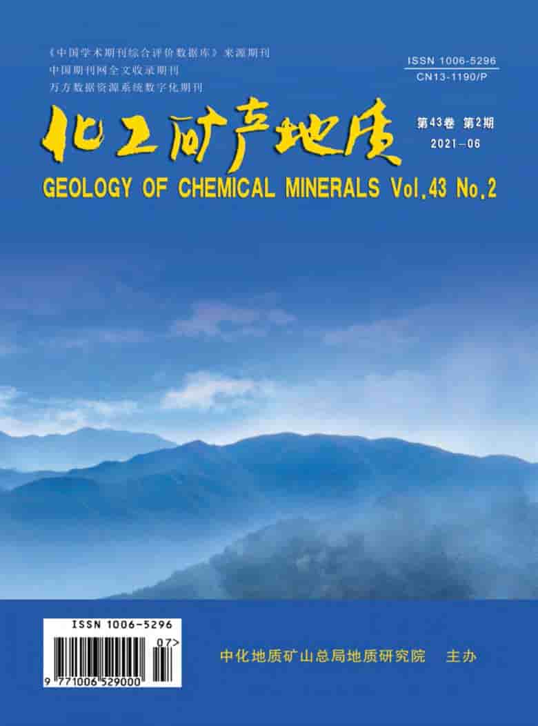 化工矿产地质杂志封面