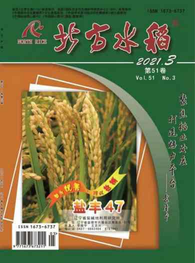 北方水稻杂志封面