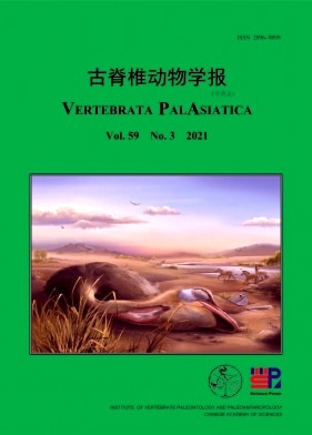 古脊椎动物学报杂志封面
