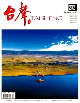台声杂志封面