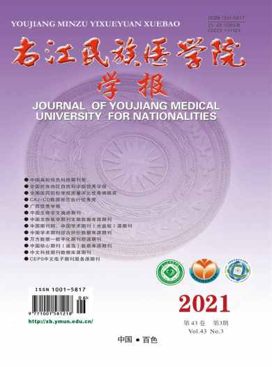 右江民族医学院学报杂志封面
