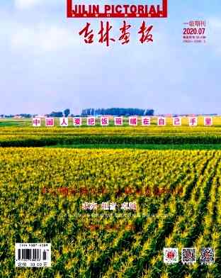 吉林画报杂志封面