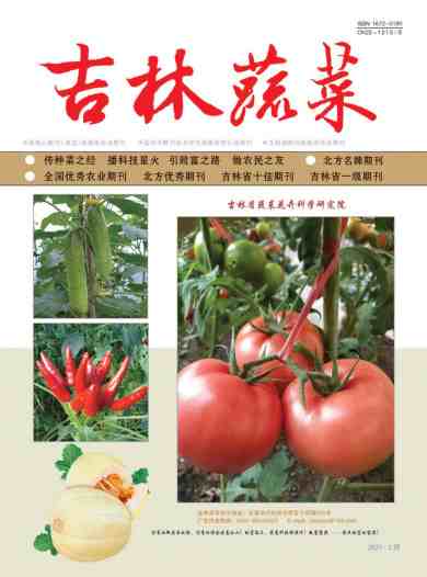 吉林蔬菜杂志封面