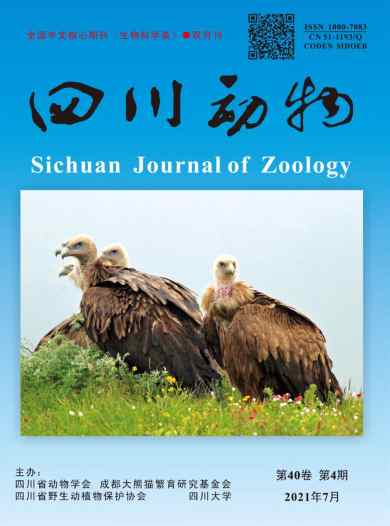 四川动物杂志封面