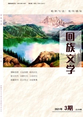 回族文学杂志封面