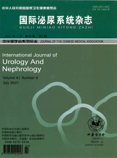 国际泌尿系统杂志封面