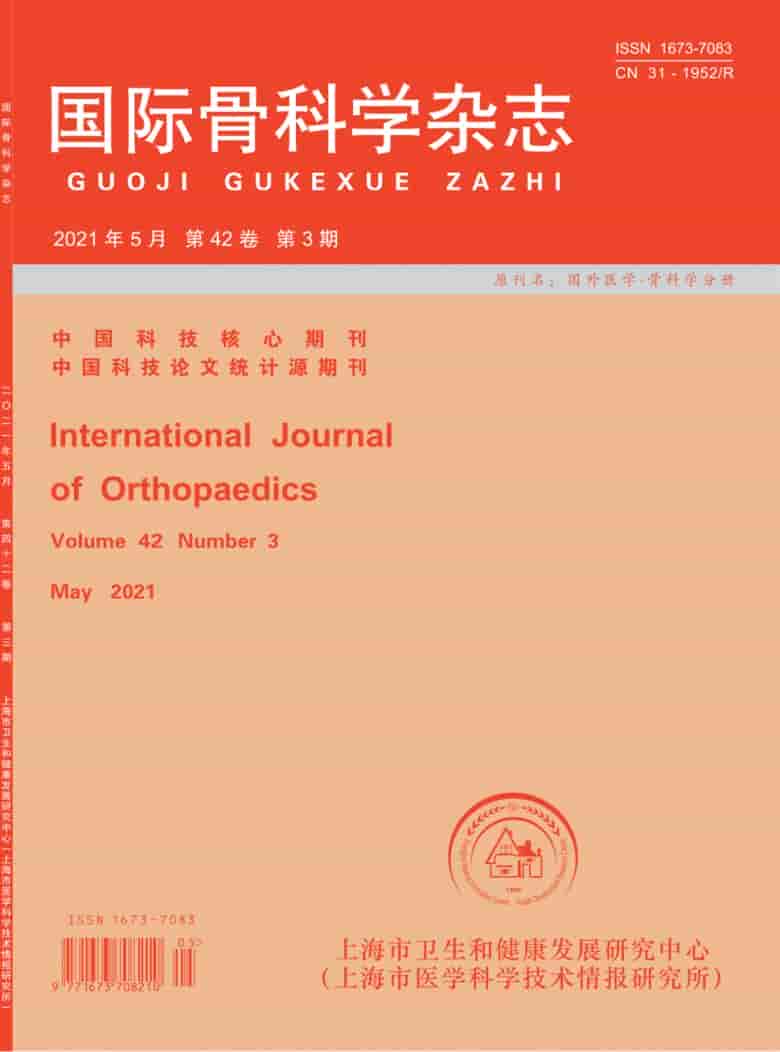 国际骨科学杂志封面