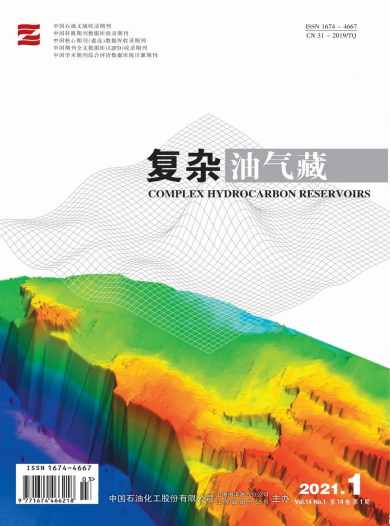 复杂油气藏杂志封面