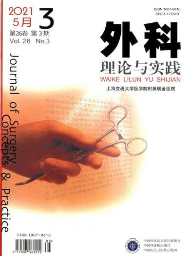 外科理论与实践杂志封面