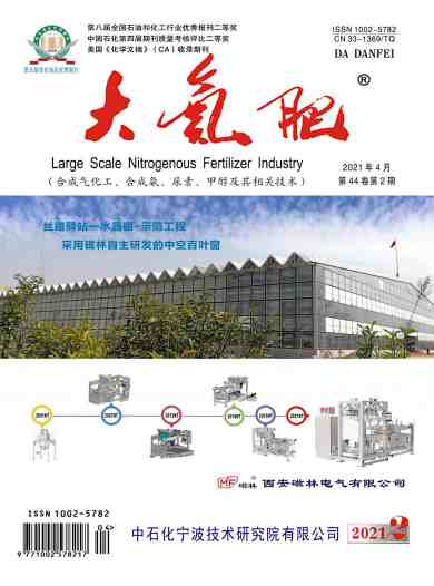 大氮肥杂志封面