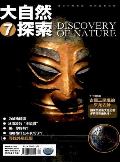 大自然探索杂志封面