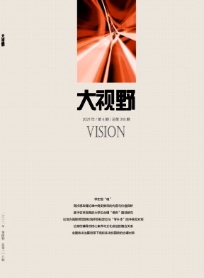 大视野杂志封面