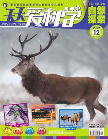 天天爱科学杂志封面