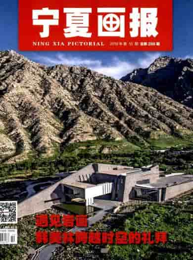 宁夏画报杂志封面