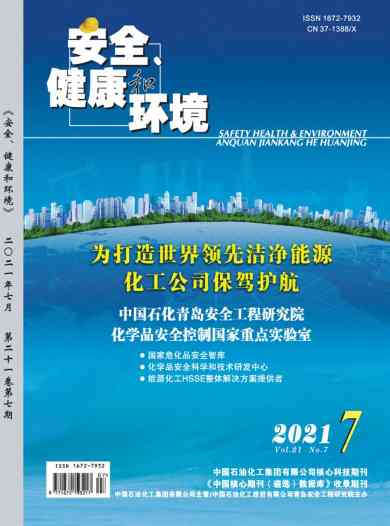 安全.健康和环境杂志封面