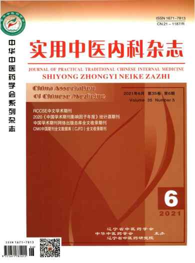 实用中医内科杂志封面