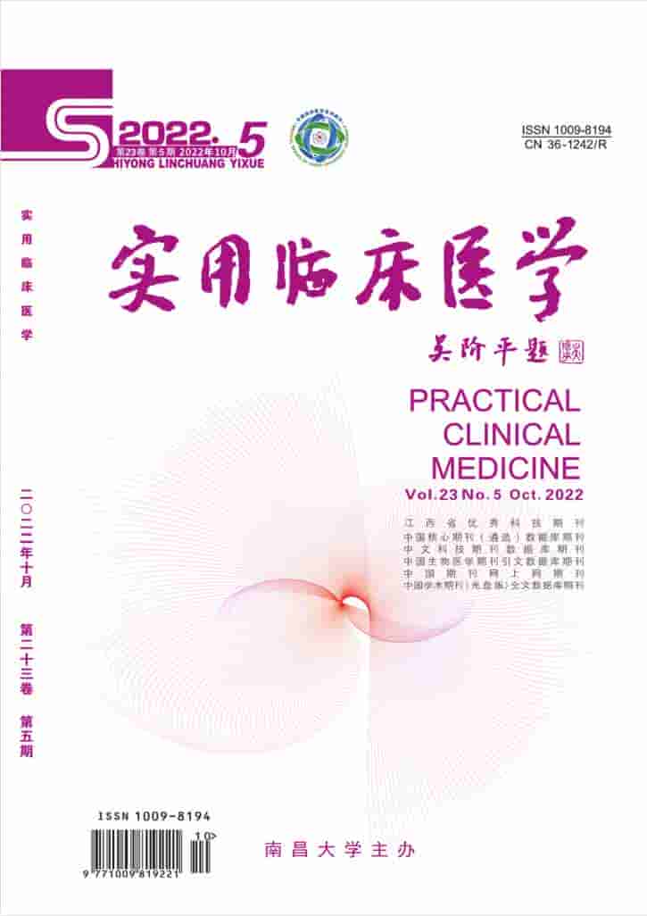 实用临床医学杂志封面