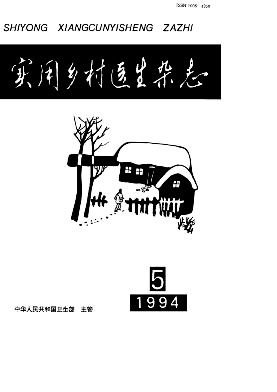 实用乡村医生杂志封面