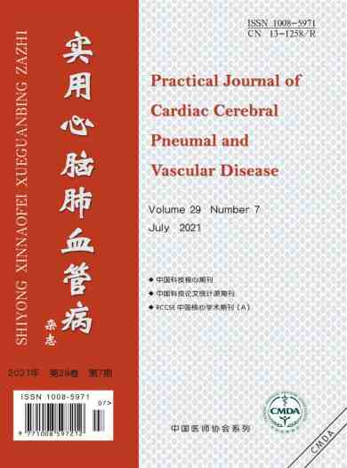 实用心脑肺血管病杂志封面