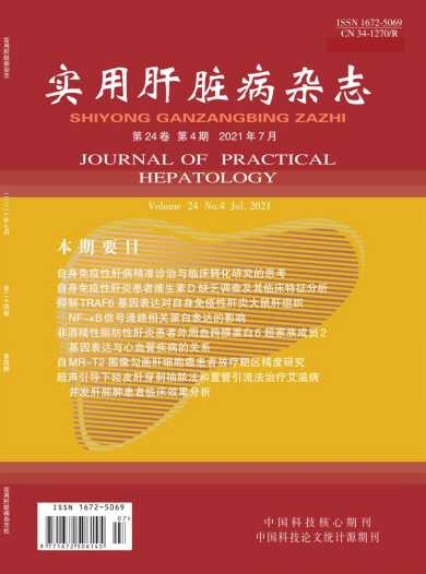实用肝脏病杂志封面