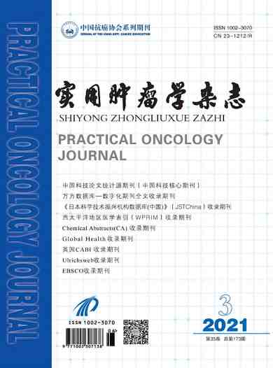 实用肿瘤学杂志封面