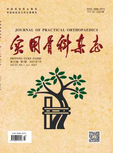 实用骨科杂志封面