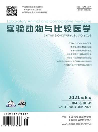 实验动物与比较医学杂志封面